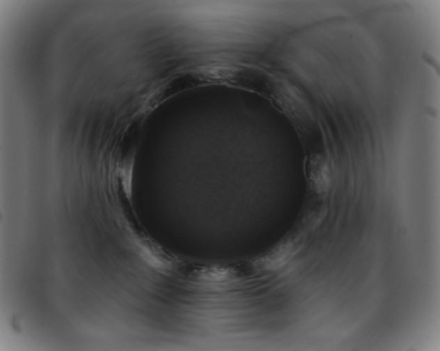 X0000097790235200803071419