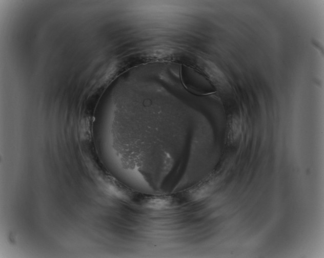 X0000097790236200803071419