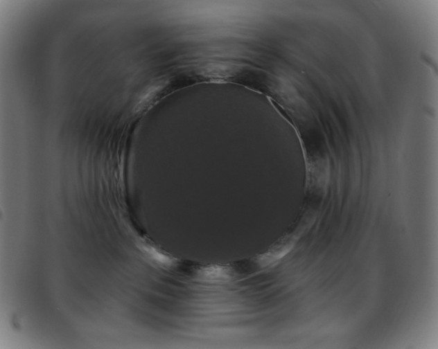 X0000097790237200803071419