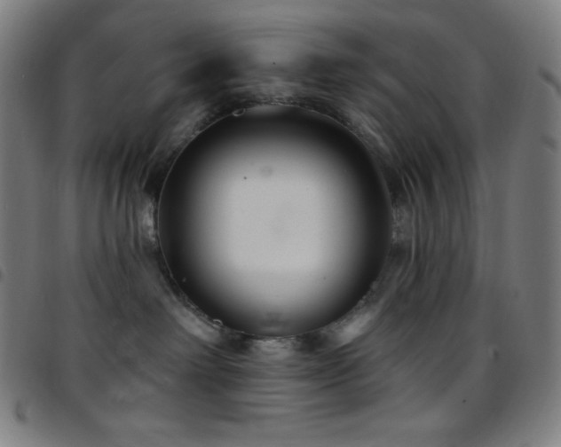 X0000097790238200803071419
