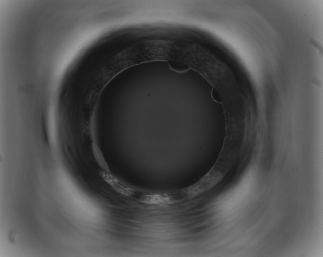 X0000097790239200803071419