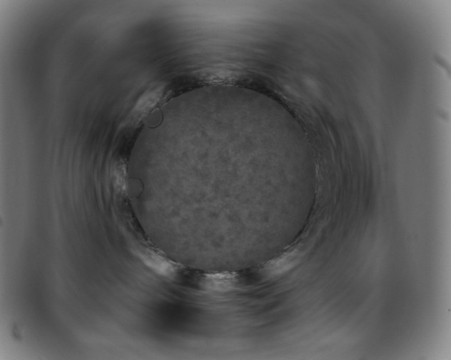 X0000097790240200803071419