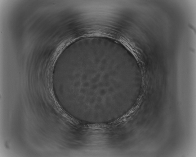 X0000097790241200803071418