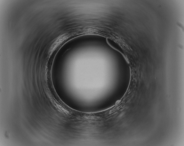 X0000097790242200803071418
