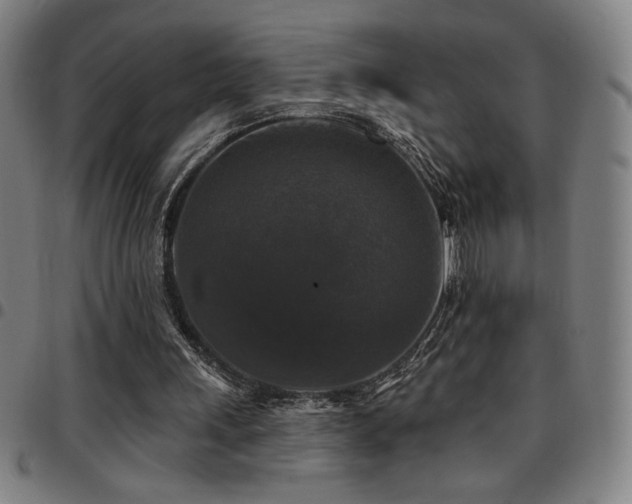 X0000097790243200803071418