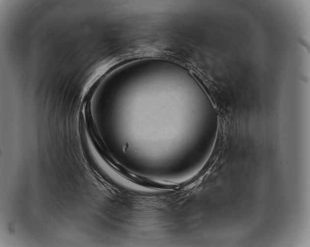 X0000097790244200803071418