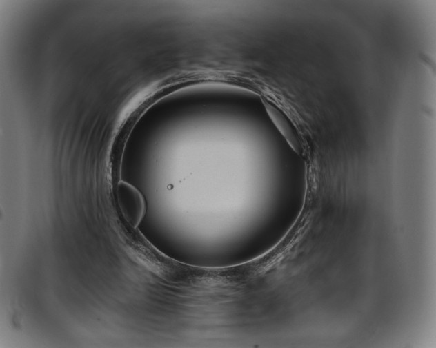 X0000097790246200803071418