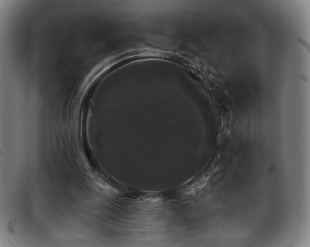 X0000097790247200803071418