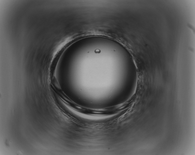 X0000097790248200803071418