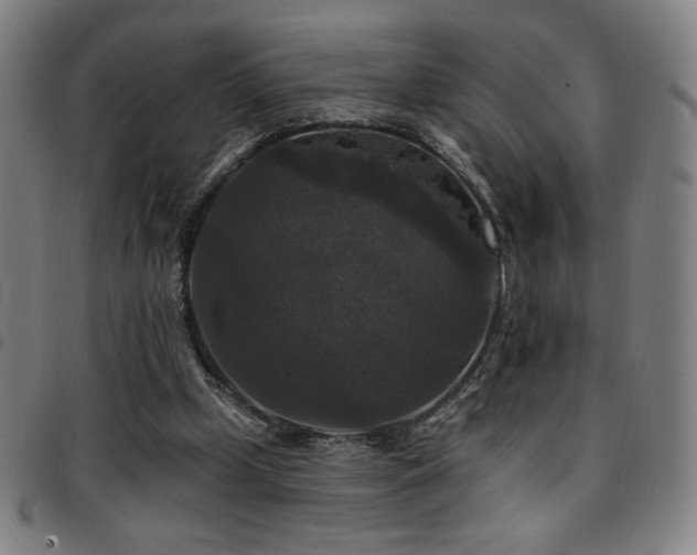 X0000097790249200803071418