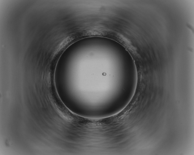 X0000097790250200803071418