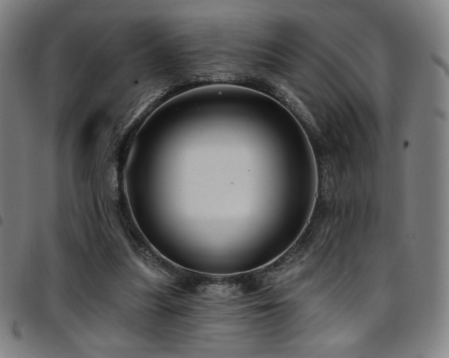 X0000097790251200803071418