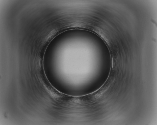 X0000097790253200803071418