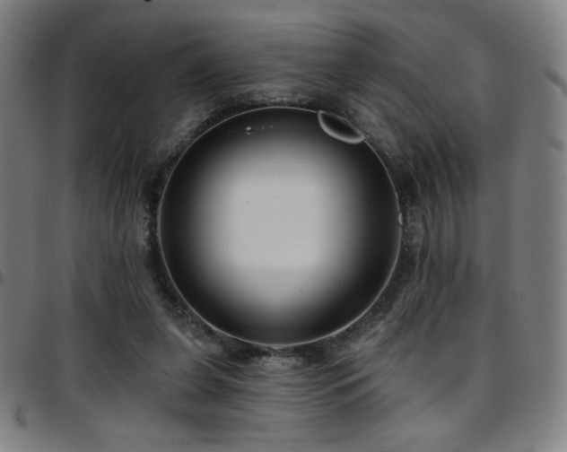 X0000097790255200803071418