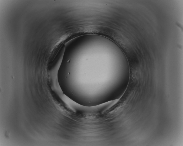 X0000097790256200803071418
