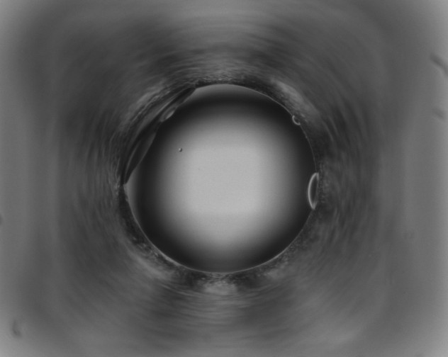 X0000097790258200803071418
