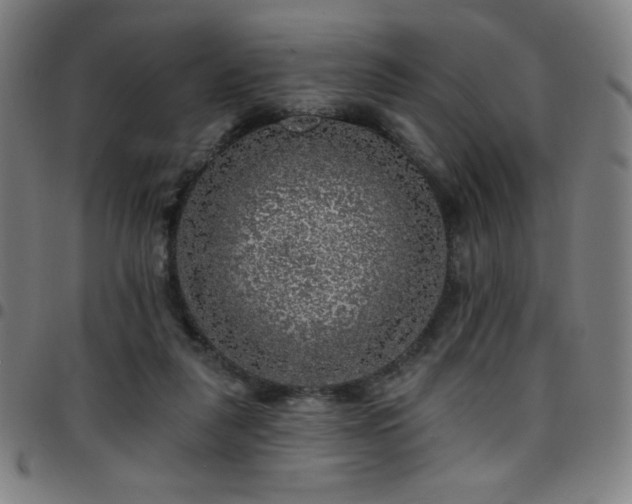 X0000097790259200803071418