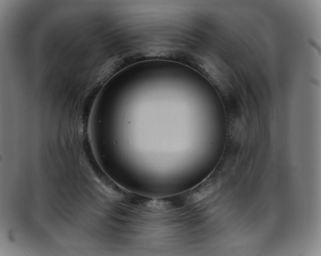 X0000097790261200803071418