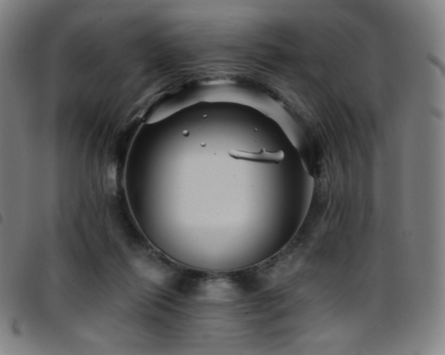 X0000097790262200803071418