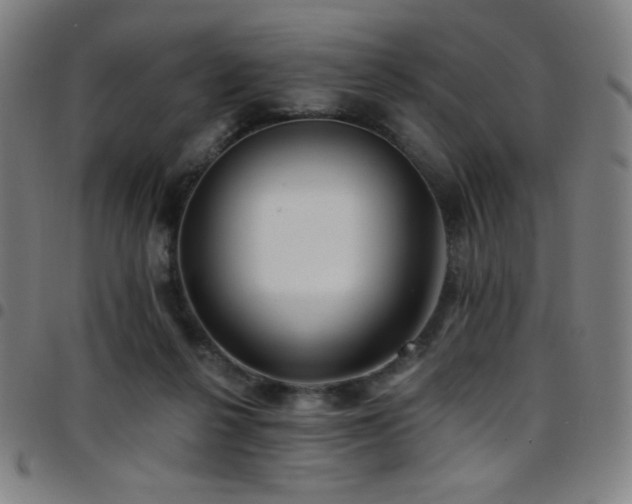 X0000097790264200803071418