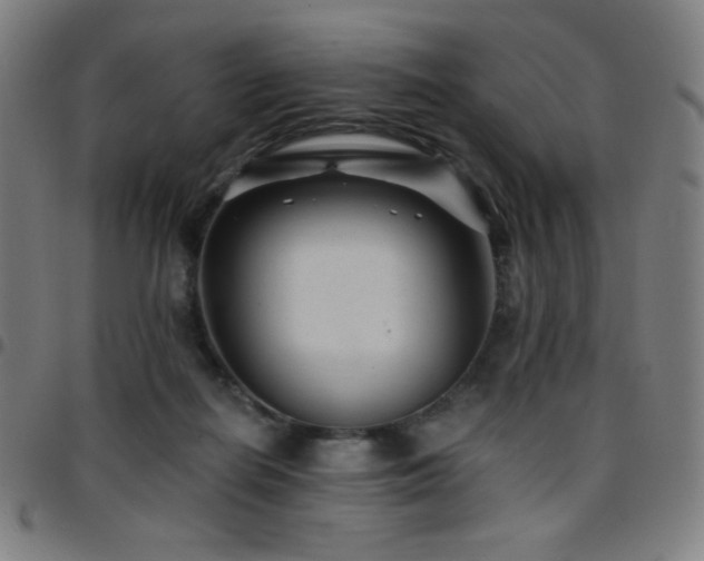 X0000097790266200803071419