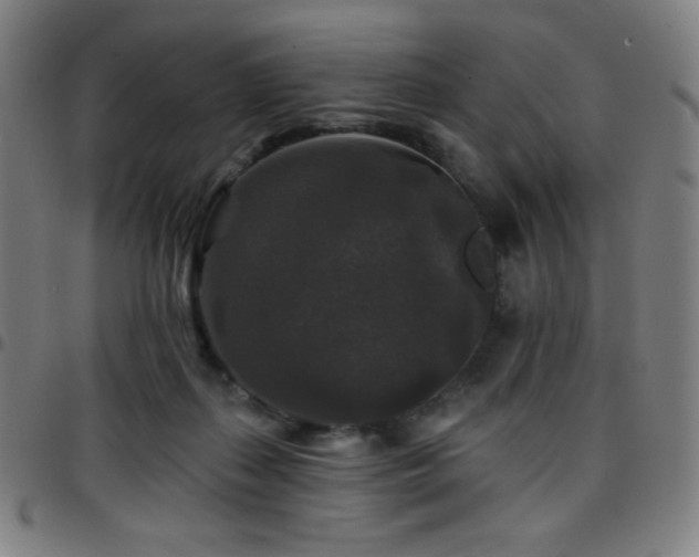 X0000097790267200803071419