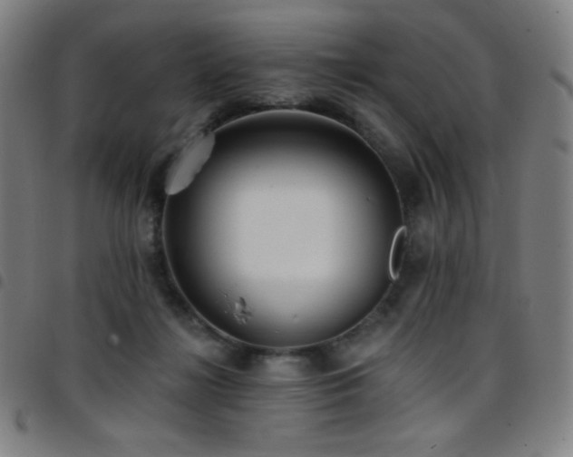 X0000097790268200803071419