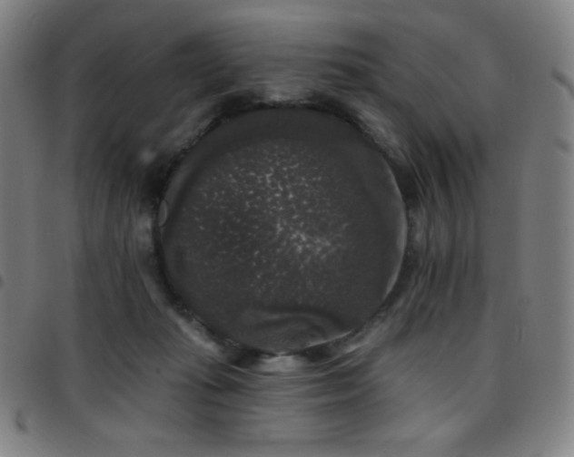 X0000097790269200803071419
