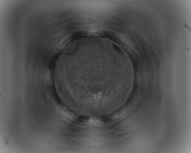 X0000097790270200803071419
