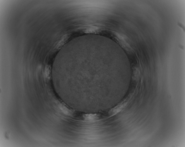 X0000097790273200803071419