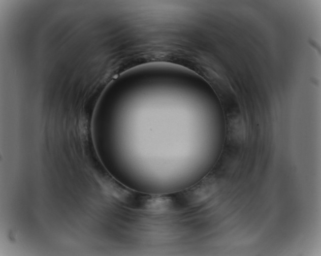 X0000097790274200803071419