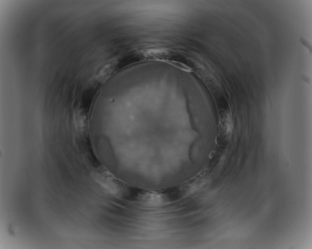 X0000097790276200803071419