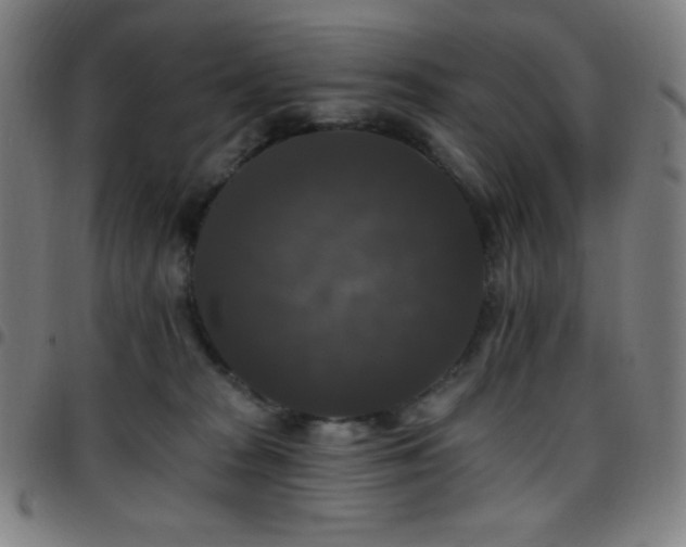 X0000097790277200803071419