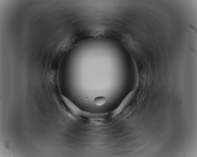 X0000097790280200803071419