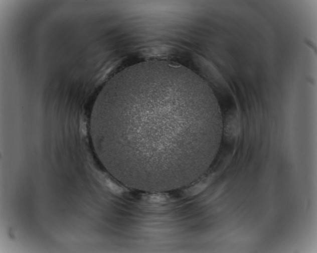X0000097790282200803071419