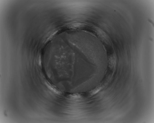 X0000097790284200803071419