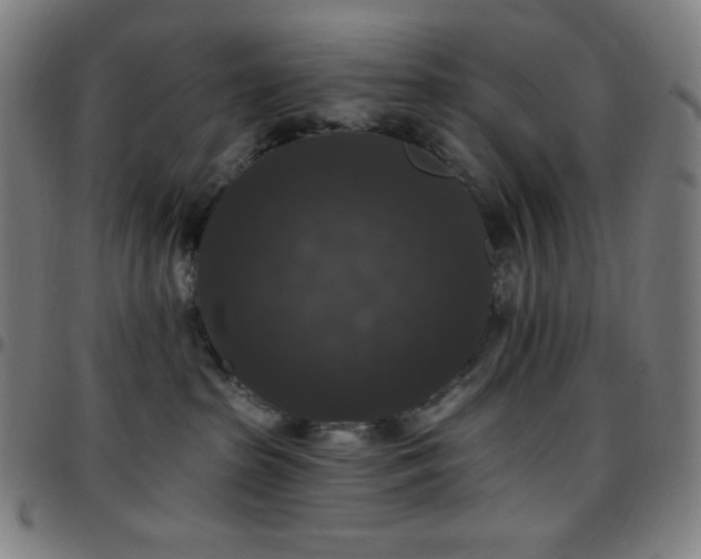 X0000097790285200803071419