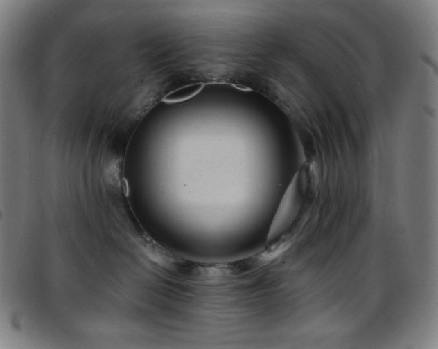 X0000097790286200803071419