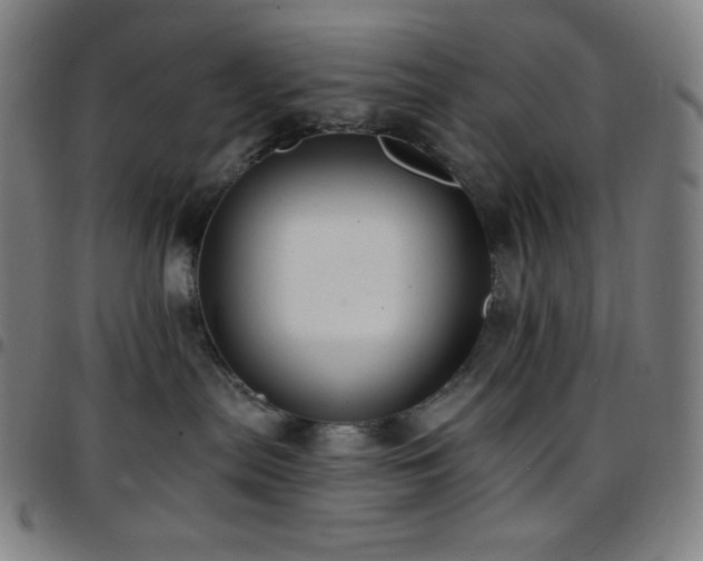 X0000097790287200803071419