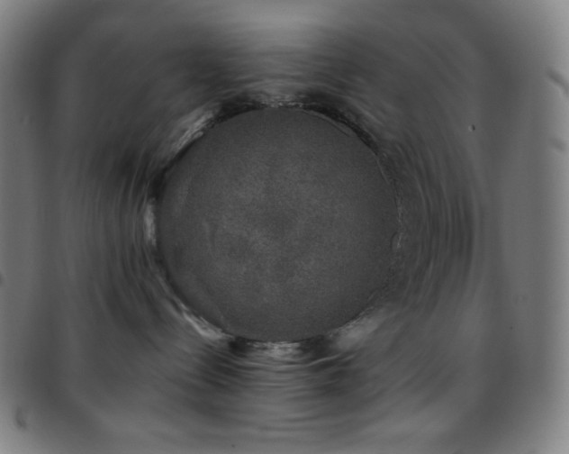 X0000097790288200803071419