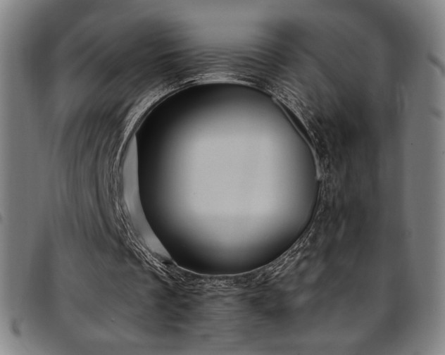 X0000097790289200803071418