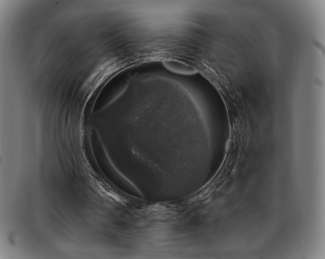 X0000097790290200803071418