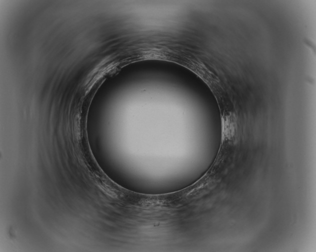 X0000097790291200803071418