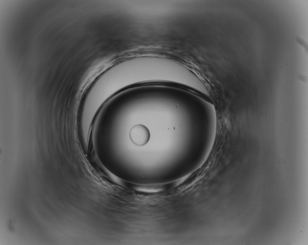 X0000097790293200803071418