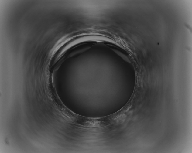X0000097790295200803071418