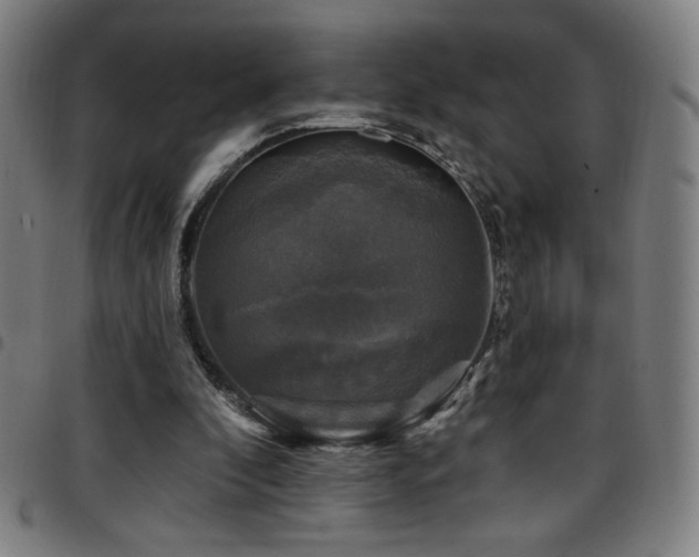 X0000097790296200803071418