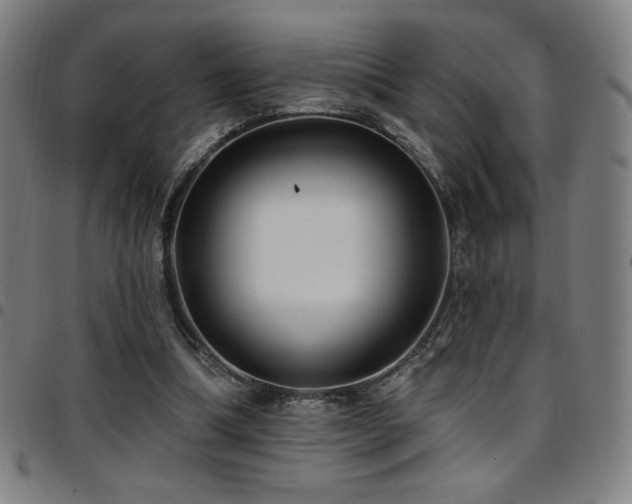 X0000097790298200803071418