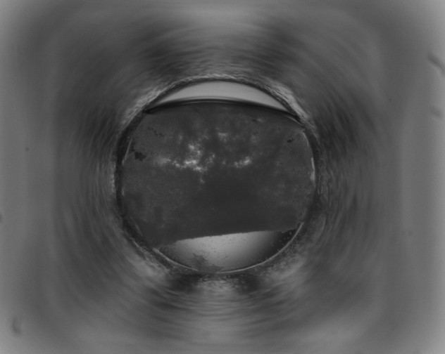 X0000097790299200803071418