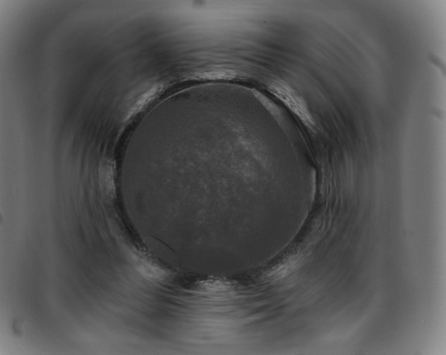 X0000097790300200803071418