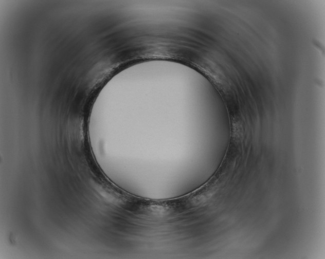 X0000097790302200803071418